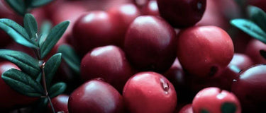 5 Health Benefits of Cranberry Powder and Extract